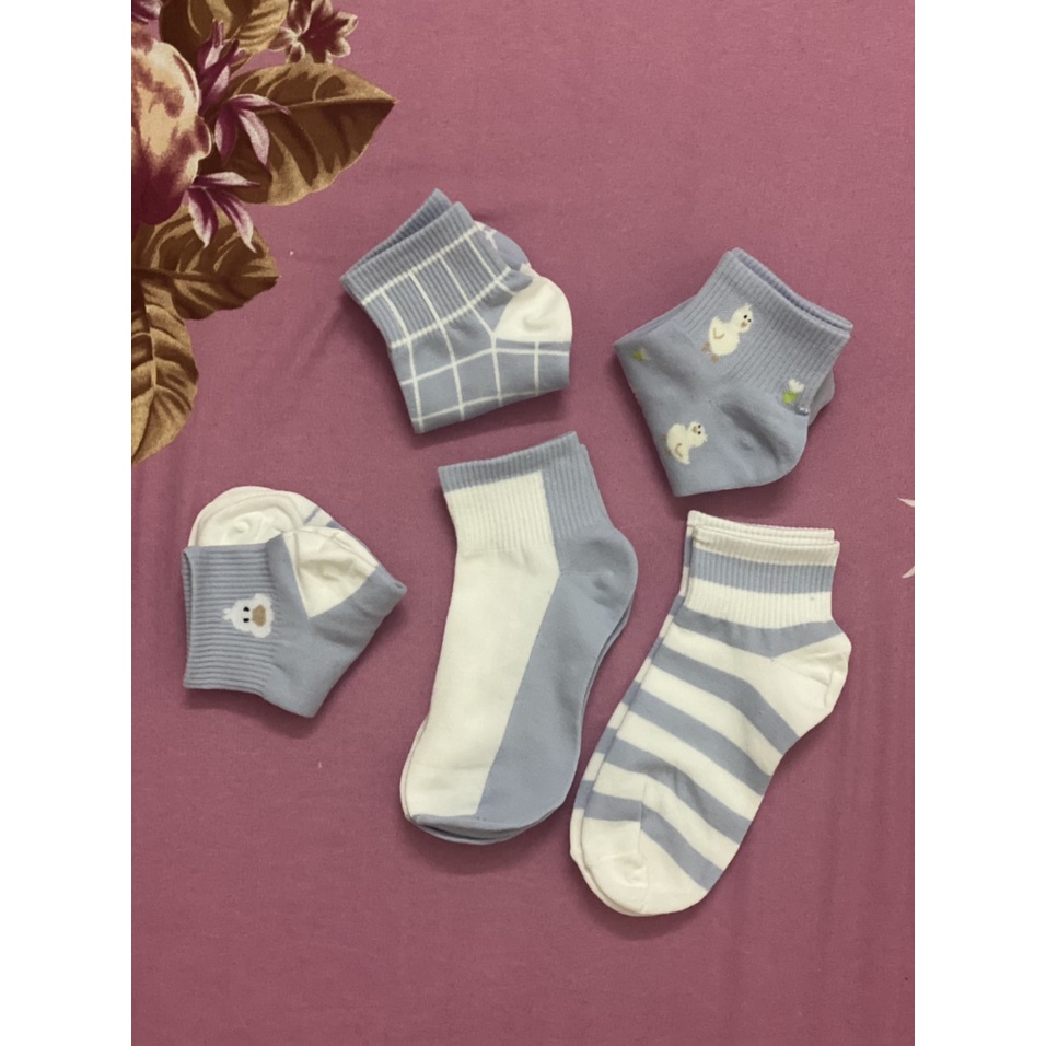 Combo vớ nữ cổ ngắn họa tiết con vịt cute phong cách Hàn Quốc ROBANA TN11