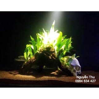 Đèn led rọi kẹp thành bể 5W
