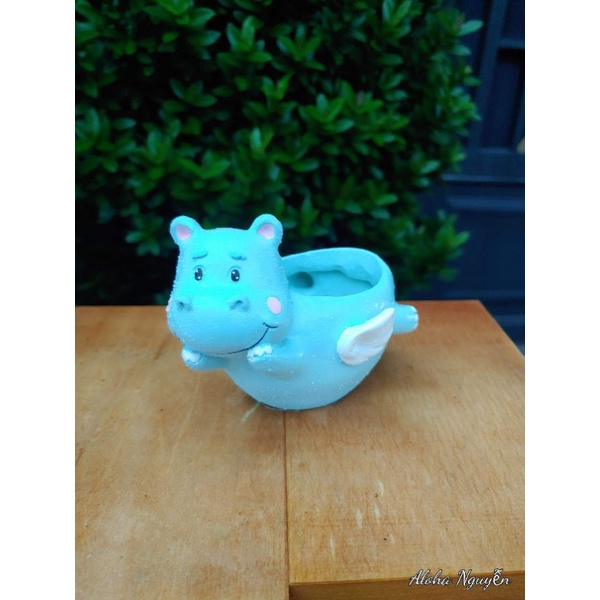 Chậu thiên thần hà mã,mua 1 tặng 1 sen đá size bầu.