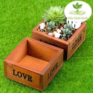 Chậu cây gỗ tiểu cảnh LOVE