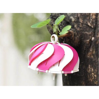 ĐĨA ĐỰNG TRÁI CÂY PEACOCK BX99