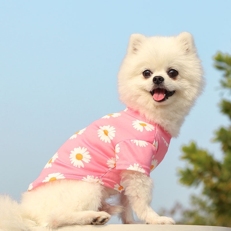 (Sỉ và lẻ) Áo thun hoa cúc hot trend cho chó mèo