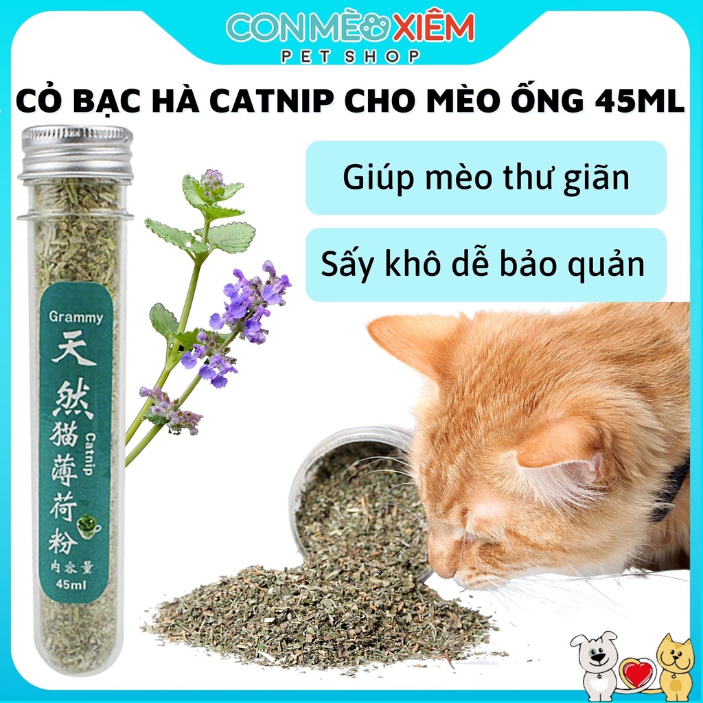 Cỏ bạc hà cho mèo catnip thư giãn ống 45ml, đồ chơi snack ói búi lông giảm căng thẳng Con Mèo Xiêm