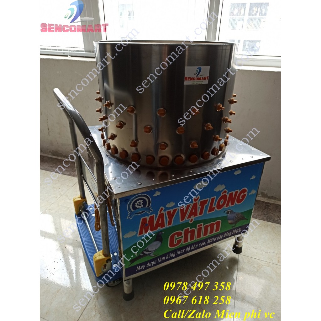 Máy nhổ lông chim câu chim cút siêu nhanh