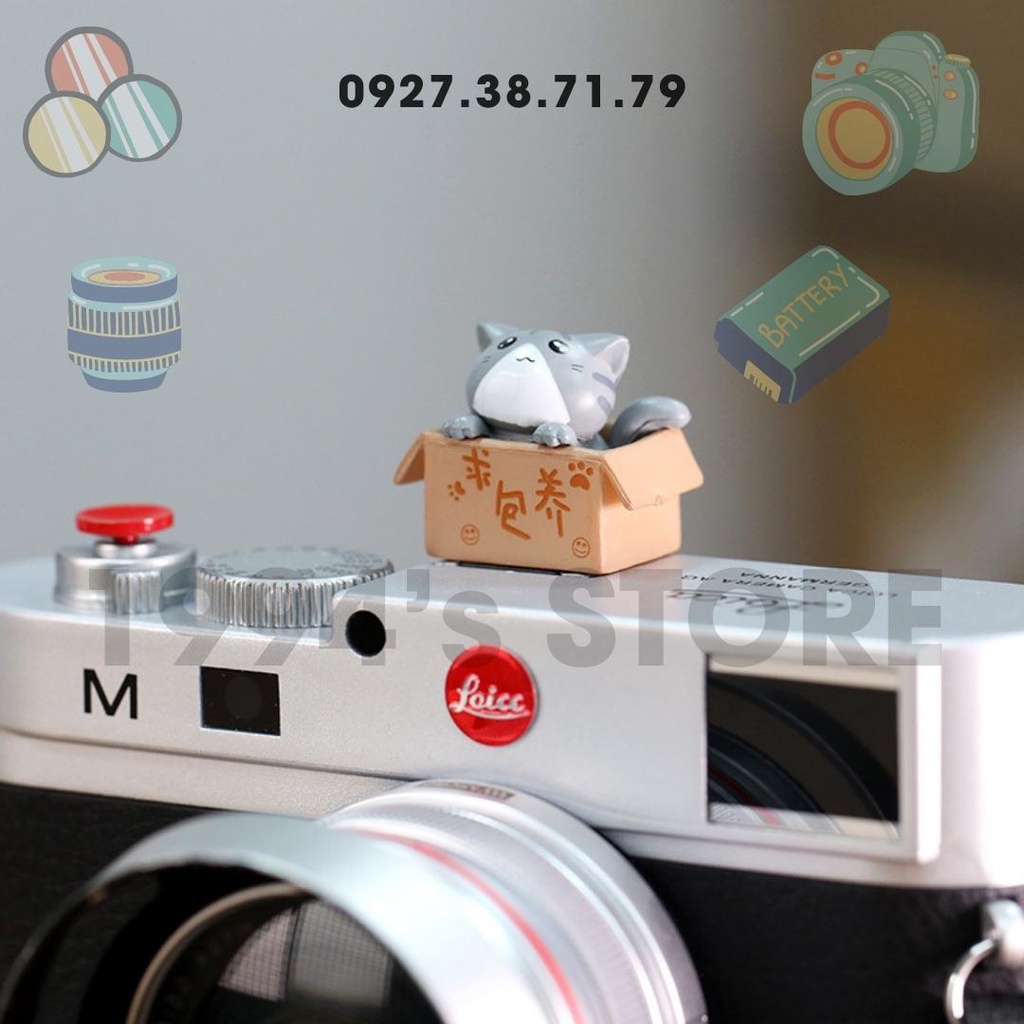 (CÓ SẴN) Hotshoe Mèo hộp quà dễ thương cho máy ảnh - Nắp bảo vệ che chân đèn Flash -Kute- Hotshoe Mèo - Hotshoe hộp mèo