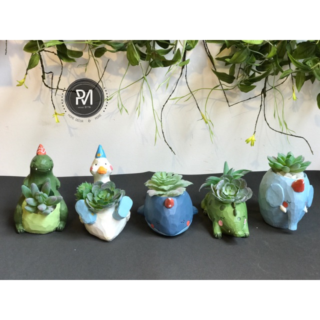 Chậu cây thú hoang dã