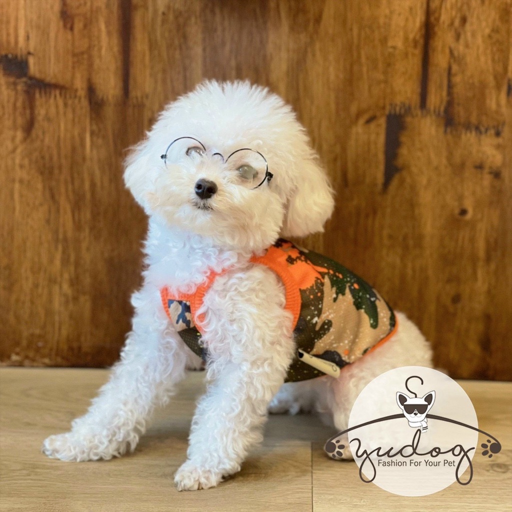 áo dây cho chó mèo thú cưng