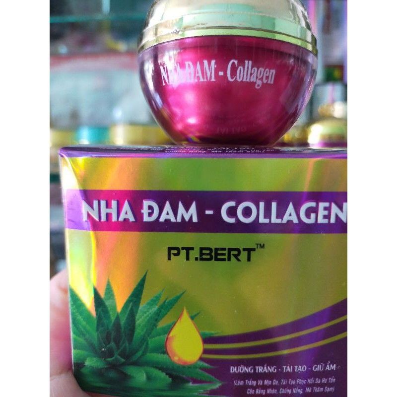 Combo 6 hộp kem nha đam collagen,15g