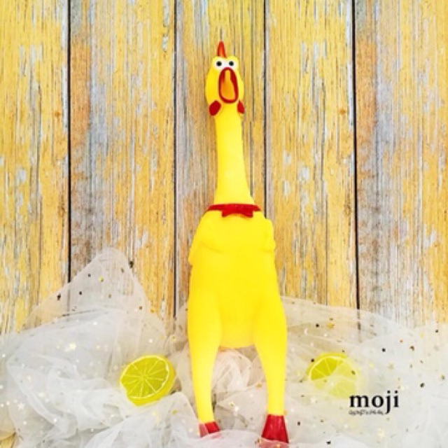 Gà bóp kêu Shrilling Chicken, gà A Lử 32cm