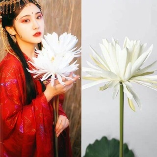 Hoa quỳnh giả chụp cổ trang