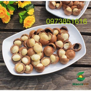 1kg hạt macca sạch daklak sấy nhà trồng loại 1 có atvstp