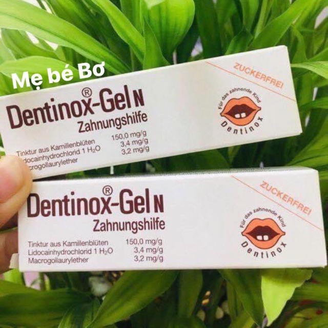 Gel bôi nướu lợi Dentinox Đức cho bé mọc răng