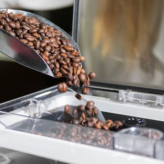 Cà Phê Robusta Rang Nguyên Chất (Pha Phin)