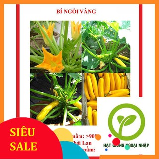 Hạt giống bí ngòi vàng 15 hạt hat f1