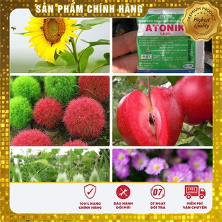 Combo hạt giống siêu tiết kiệm lucky
