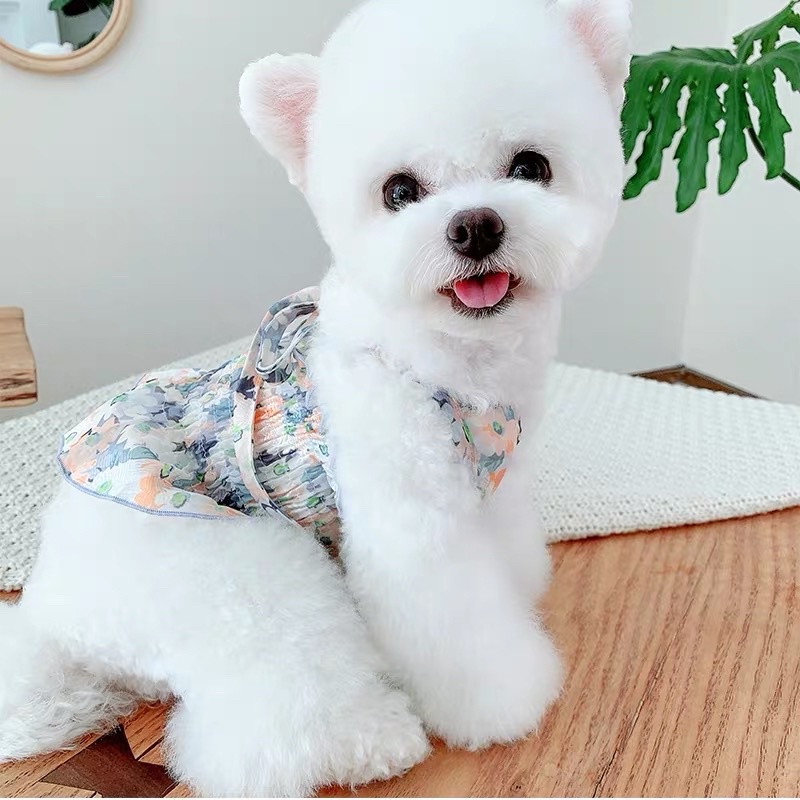 Váy yếm voan hoa cao cấp cho chó mèo, quần áo thú cưng - DP052