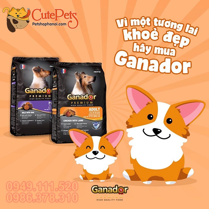 Thức ăn cho chó Ganador 3Kg - Phụ kiện thú cưng Hà Nội