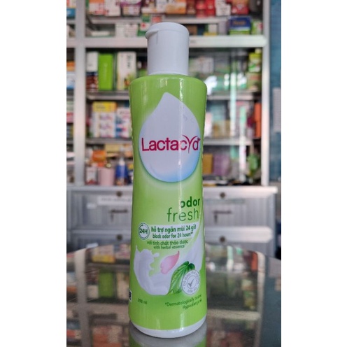 Dung Dịch Vệ Sinh Phụ Nữ Lactacyd