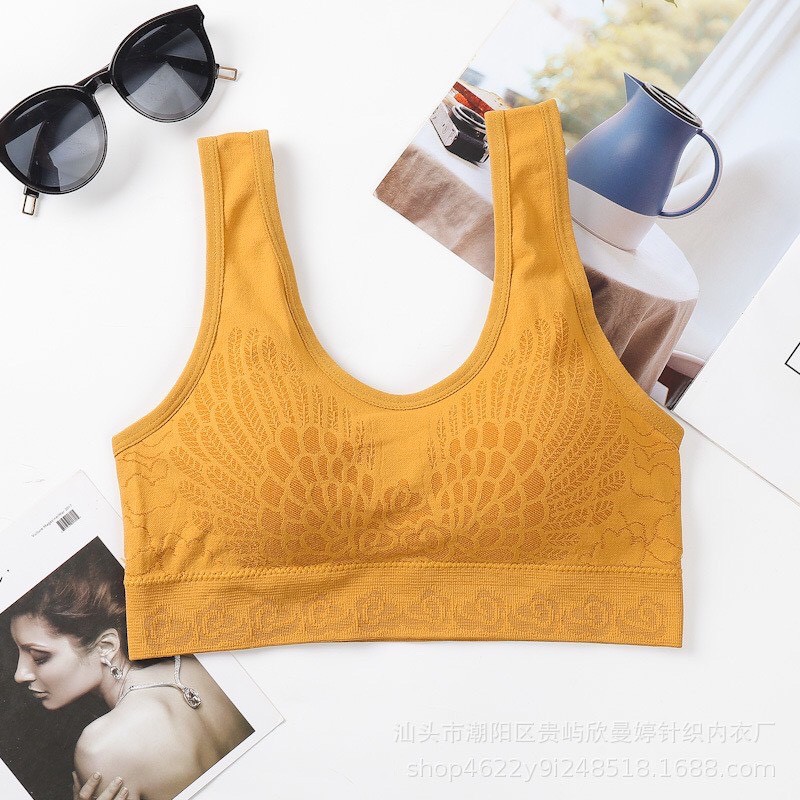 Áo Lót Nữ Cotton Đệm Mỏng Mềm Thoải Mái, Áo Bra Nữ Tập Gym Mặc Cực Đẹp Hieu Store24h - 7702