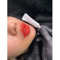 Tế bào gốc  znsp