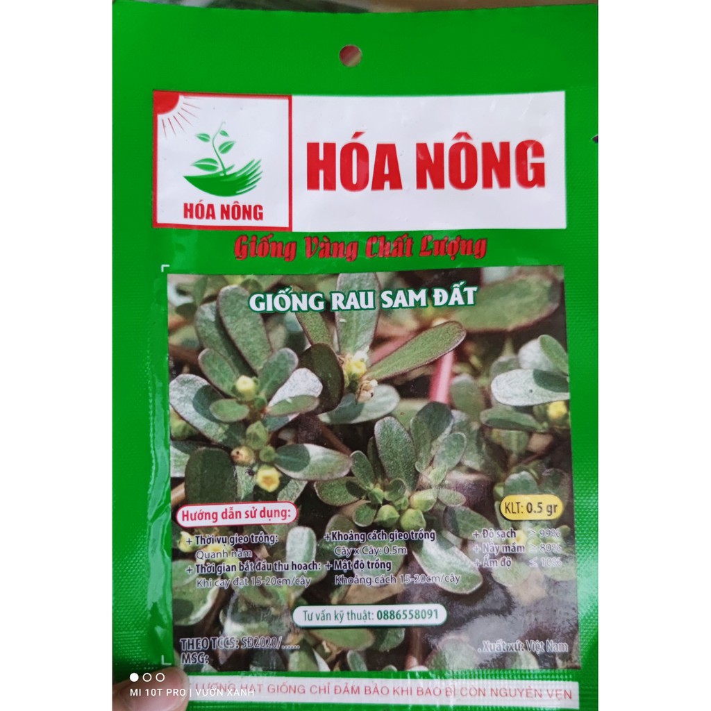Hạt giống rau sam đất 0.5gr