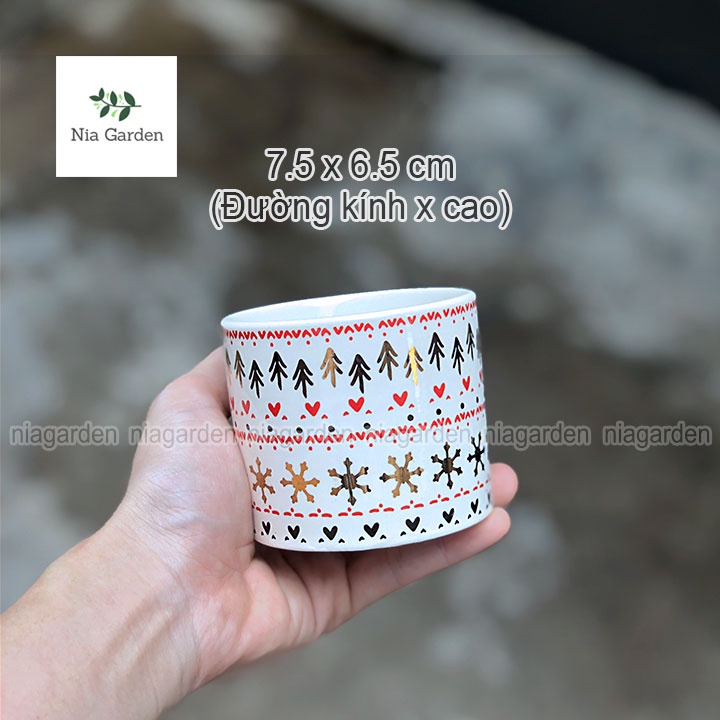 (B9) Chậu trồng xương rồng sen đá cây để bàn mini phong cách Bắc Âu Scandinavian Style Nia Garden N9