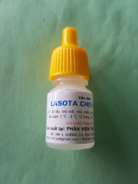 Lasota chịu nhiệt lọ 25 con ngừa dịch tả gà con