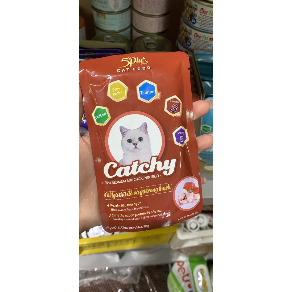 Pate cho mèo Catchy 5 Plus thơm ngon đủ vị 70g