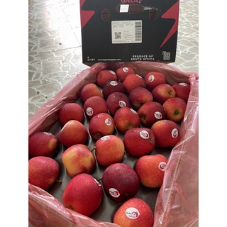Táo Gala Nam Phi - 180k/túi 3kg