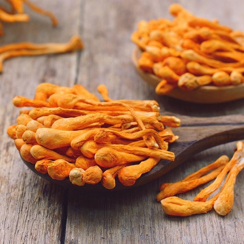 Đông trùng hạ thảo 100Gr - hàng loại ngon | Bột Natural