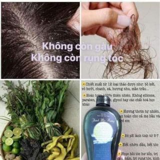 Dầu gội thanh mộc hương