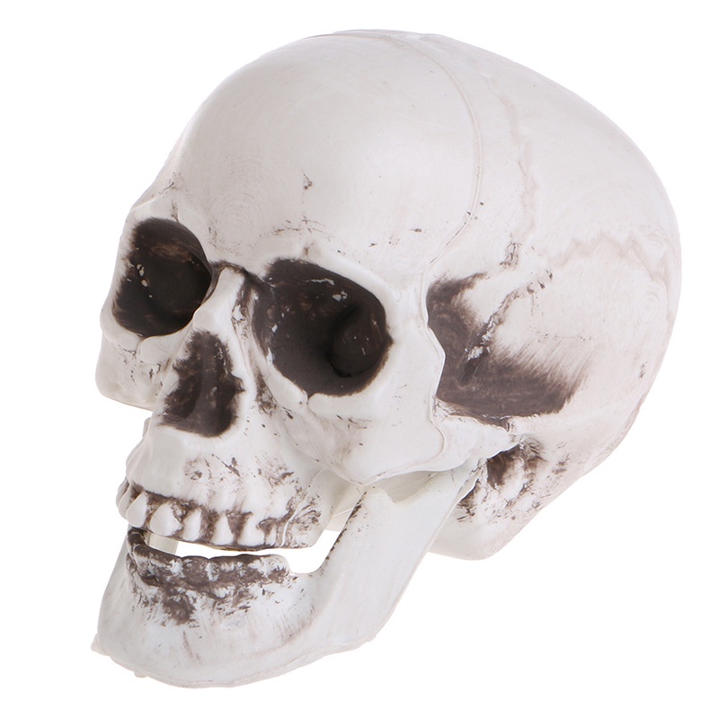 Bộ Xương Người Bằng Nhựa Mini Trang Trí Halloween