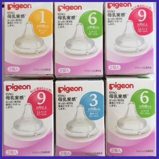 Núm ti cổ rộng nội địa nhật s/m/l/ll