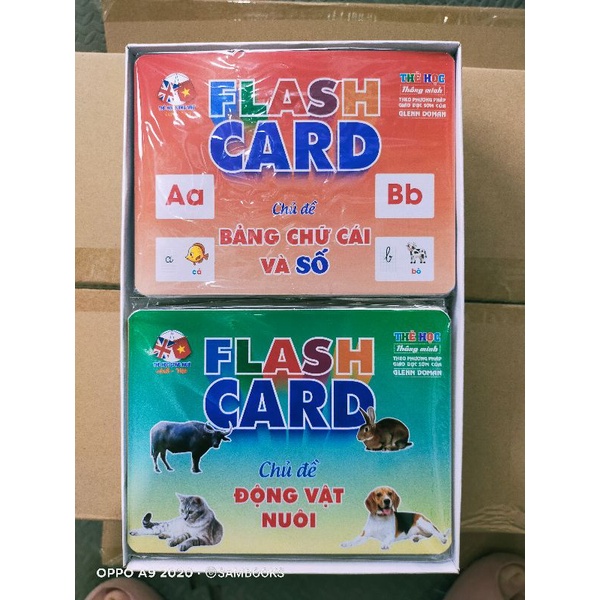 Bộ thẻ học thông minh 16 chủ đề Glenn Doman