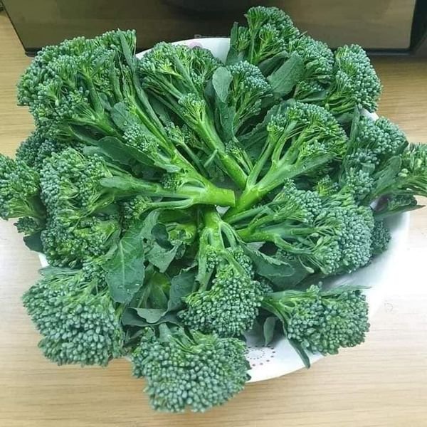 100 hạt giống súp lơ xanh baby