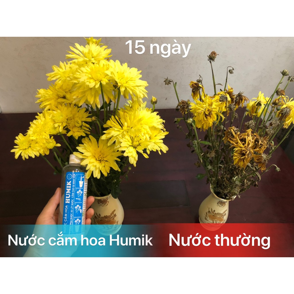 Combo 02 chai nước cắm hoa Humik công nghệ ion đồng 250ml