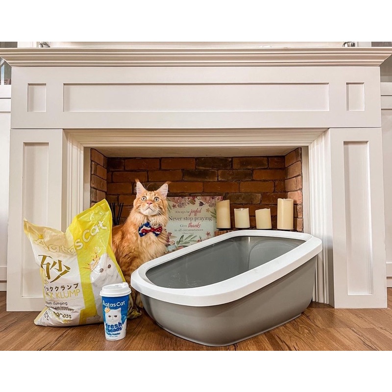 Cát Đất Sét AATAS CAT 10L _ Premium Clumping Bentonite Cat Litter