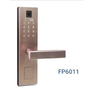 Khóa vân tay FP6011