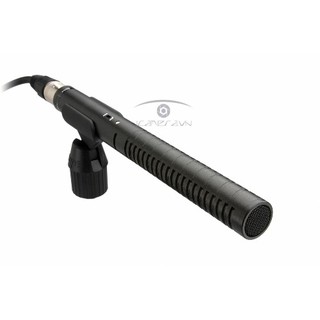 Microphone Rode NTG1