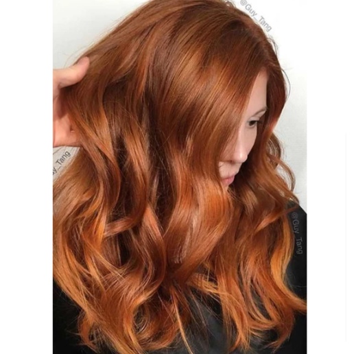 HENNA PHỦ BẠC - nhuộm henna herbul ấn độ 60g các màu