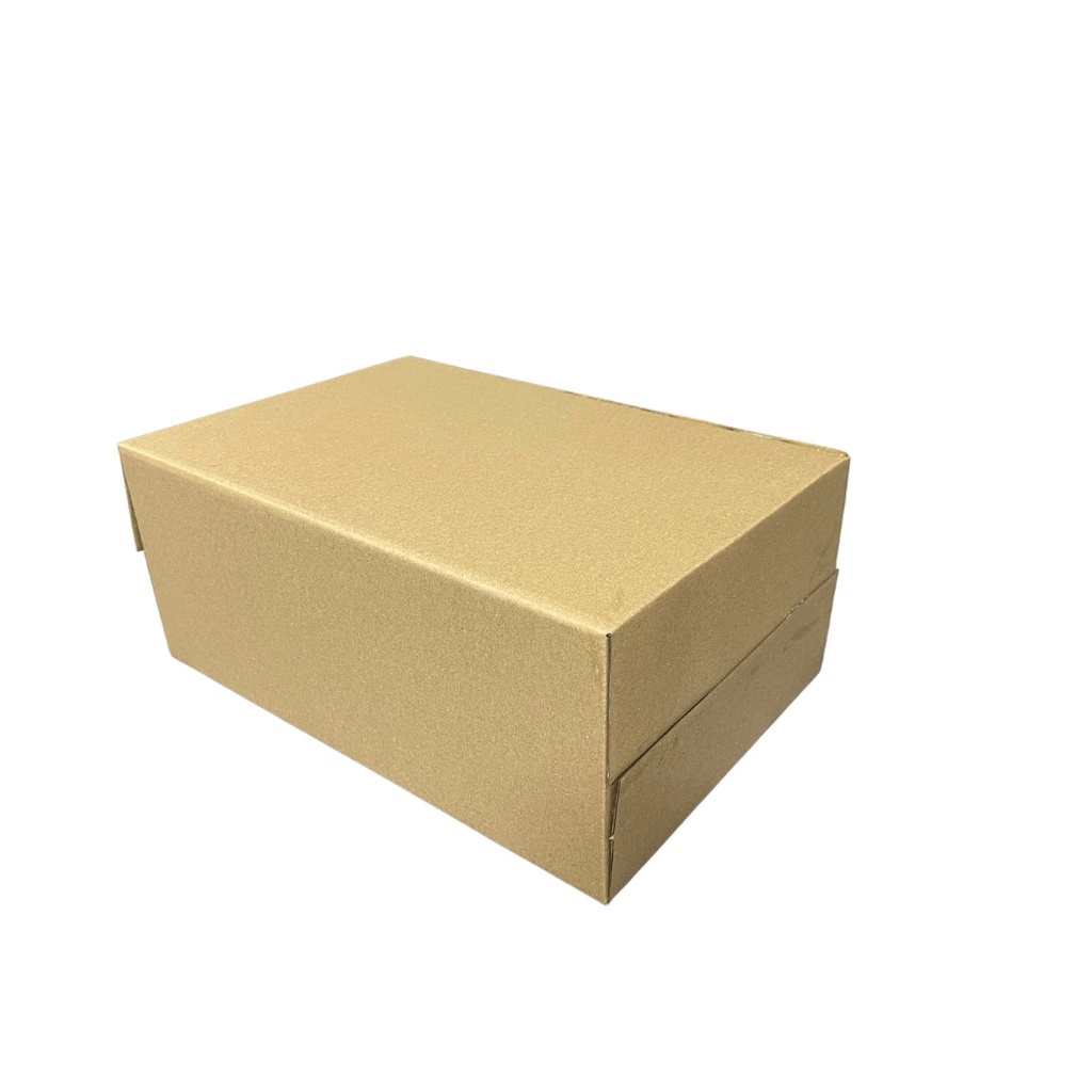 Hộp bảo vệ giày