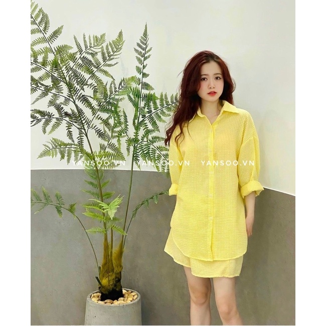 Sét áo somi from rộng chất xốp vàng mic quần sóc cá tính , sét đồ nữ vàng tươi cực đẹp by YANSOO