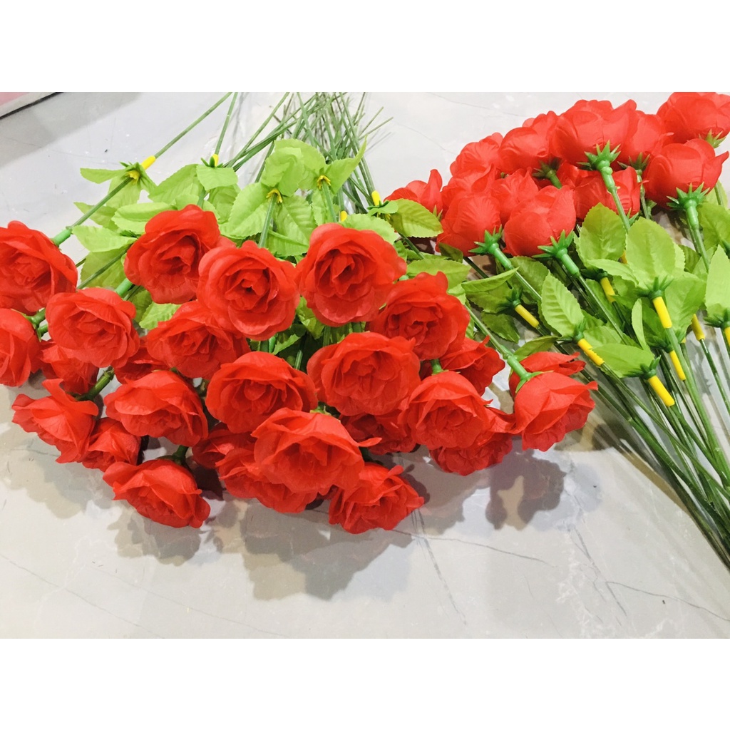 Hoa Hồng (1 Bó Hoa Đỏ) Bó Hoa