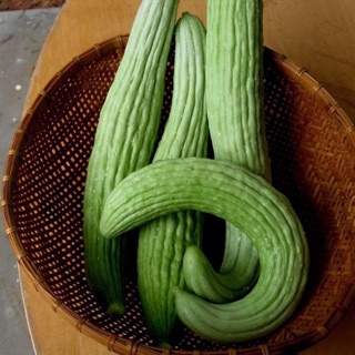 Nguyên gói 60 Hạt giống dưa chuột dài Thái Lan_Dài 60 đến 80cm