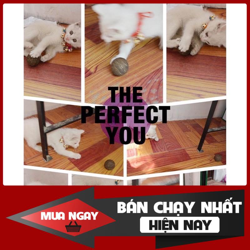 [❌GIÁ SỈ❌]  Đồ chơi Catnip Cỏ Bạc Hà cho Mèo Vui Vẻ 0 ❤️