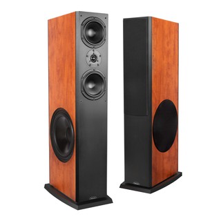 Loa Paramax Platinum D88
