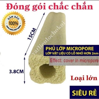 Sứ hoa mai, sứ thanh vàng lớn