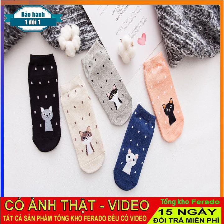 [ xả kho ] Set tất thấp cổ nữ TG03 chất liệu đẹp phù hợp thời trang