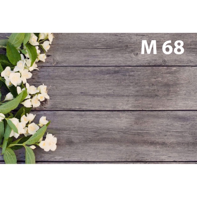 Thảm vải chụp hình 3D