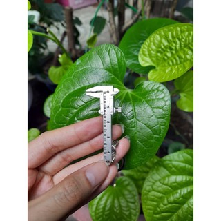 Thước kẹp mini kèm móc khóa bằng inox tiện dụng trong đời sống, đo thân lan,...